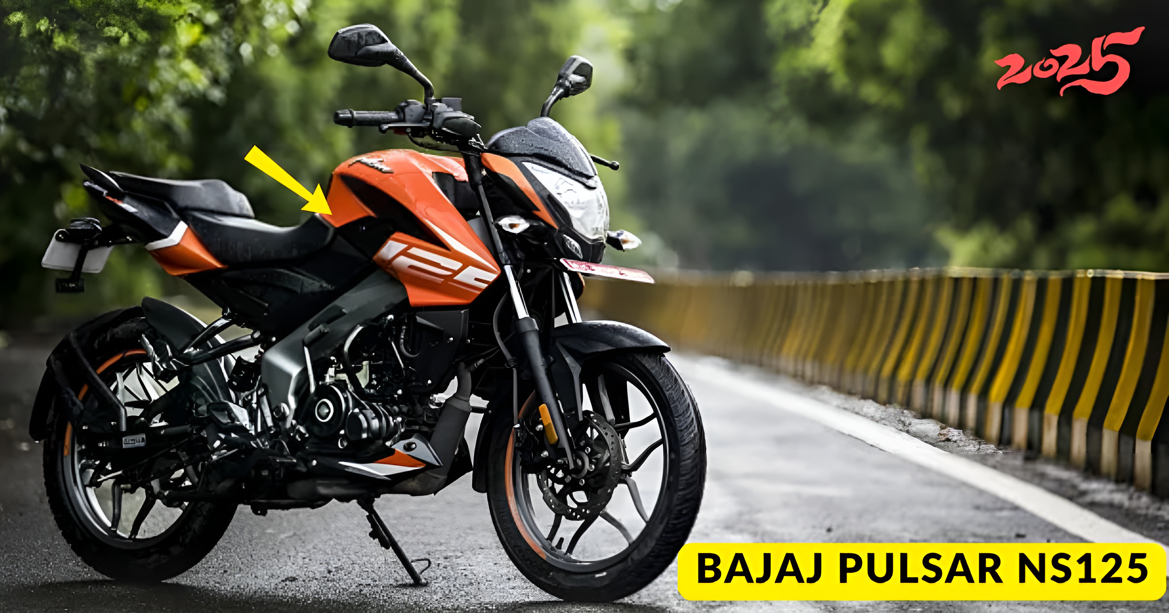 Bajaj Pulsar NS125